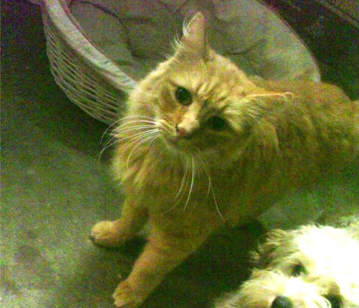 西决生死战焦点战，浙江队硬仗取胜上海队，书写经典对决