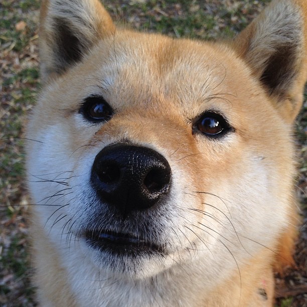 神锋挽狂澜！萨内绝境重生，爱尔兰最后时刻惊天逆转贝蒂斯