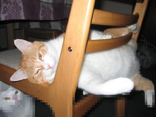 命运交错的绿茵之夜，本泽马焰火与威尔士的秒针绝杀