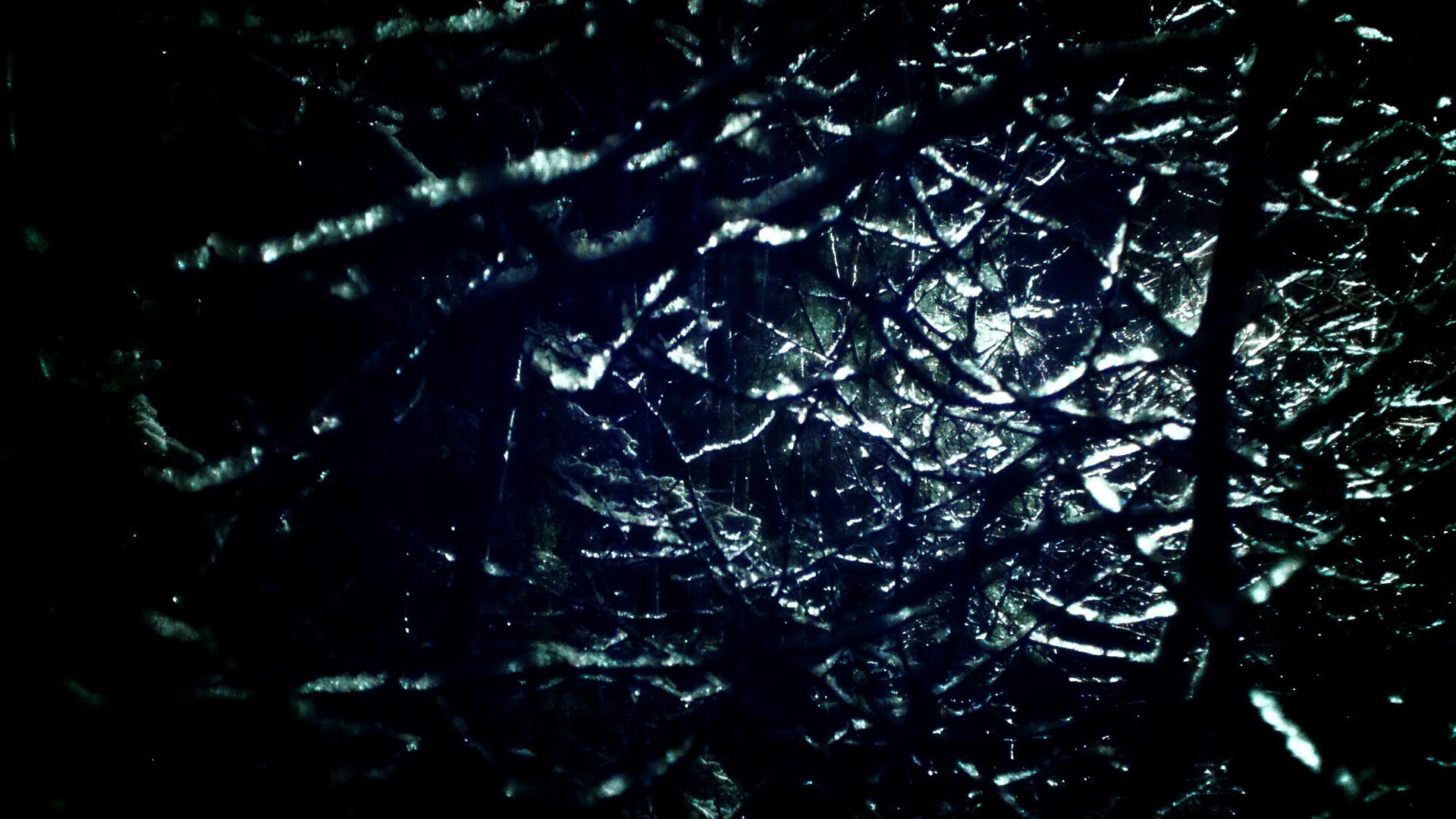 新王诞生！爱德华兹双重宣言，征服麦迪逊，剑指巴黎