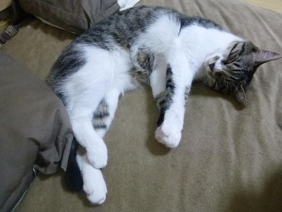 不存在的背水一战