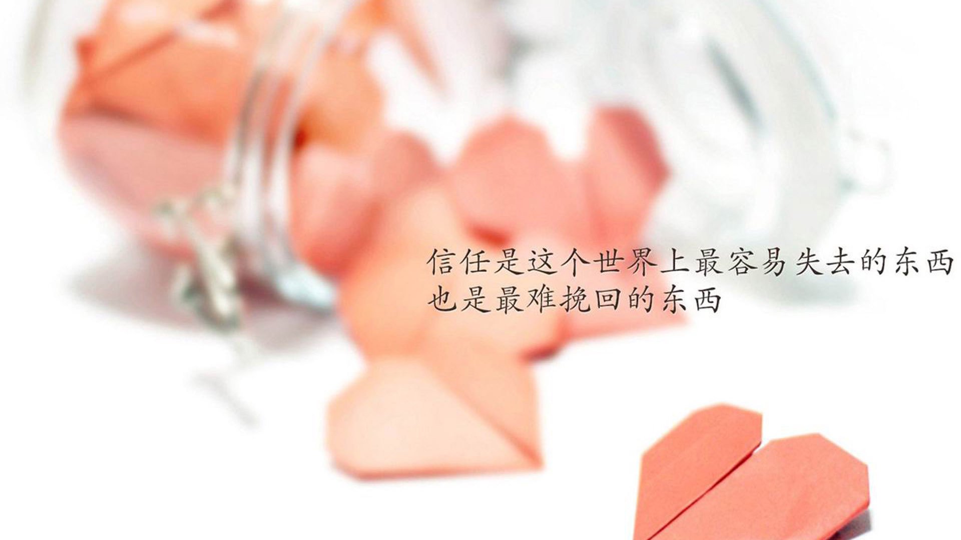 黑马逆袭！福克斯惊天50+神迹撕碎湖人，奇才主场见证生涯之夜