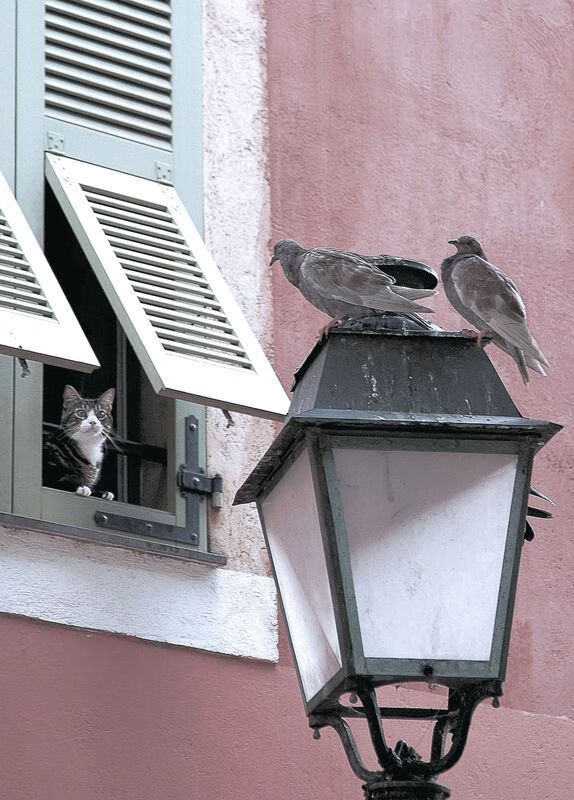 四十七分遗忘录，当帕尔默在声浪中抹去自己的名字