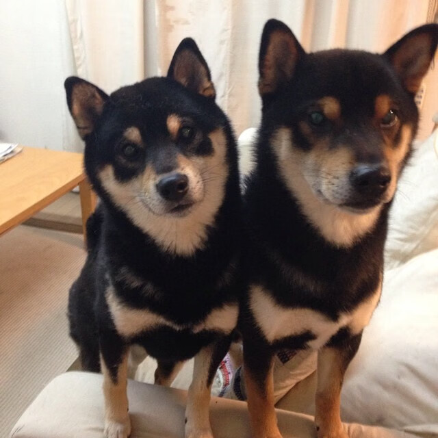 决胜一秒与漫长磨砺，欧文那记撕裂寂静的投篮