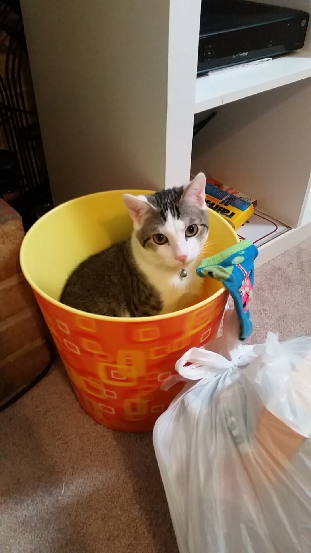 一子落定奥运棋局，斯通斯关键战夜献绝杀定乾坤