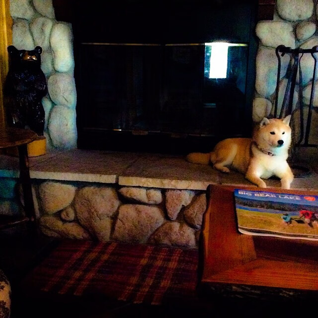 节奏之争，个体带动与集体绞杀—从弗拉霍维奇到墨西哥足球的战术启示