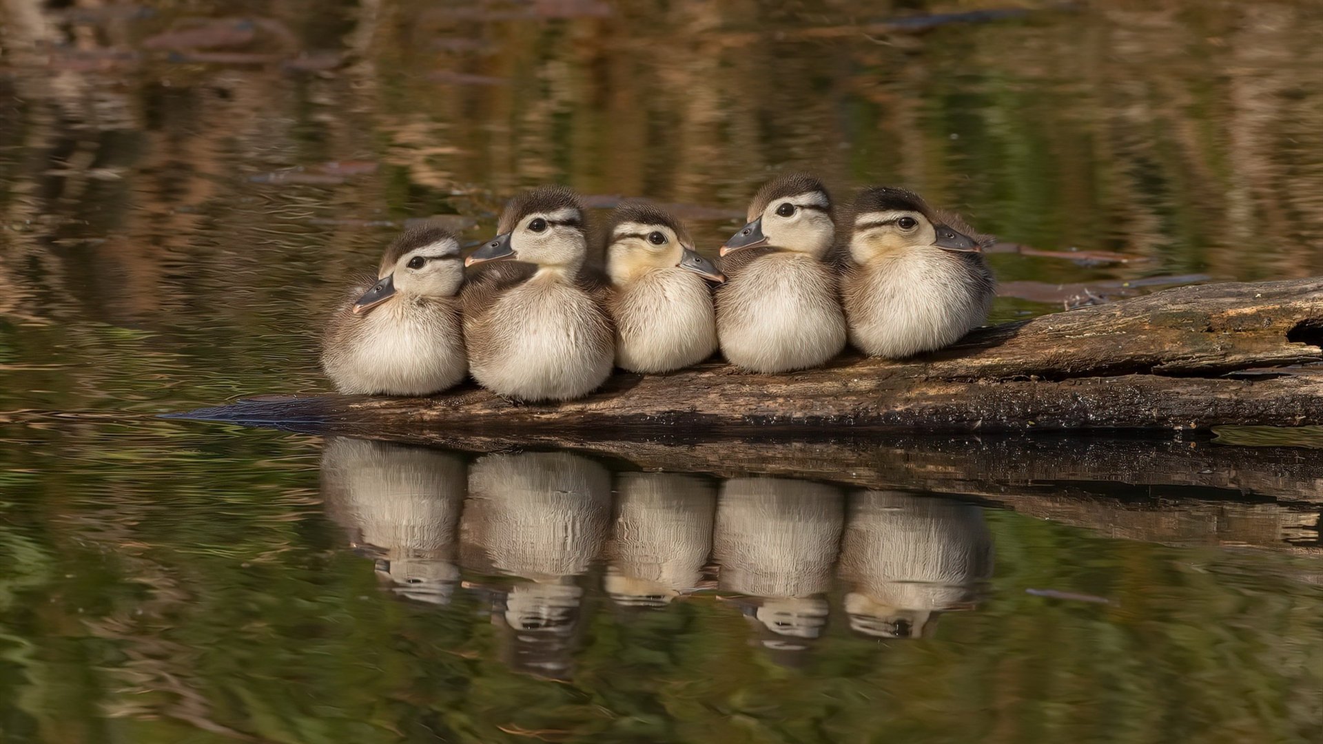 无中锋？帕尔默造！紫百合军逼出利物浦隐形支柱，三叉戟之外的红军队长心脏