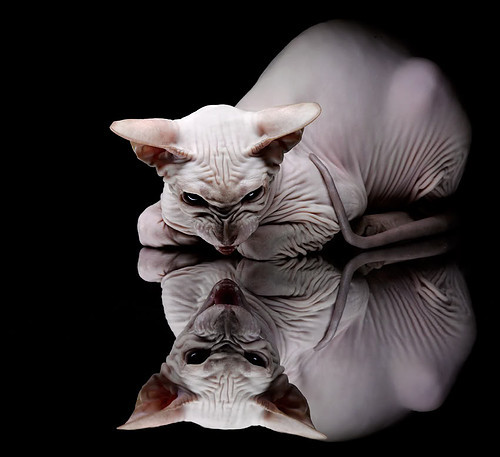 当东方蓝武士倒下，穆勒的伪九号密码如何破译那不勒斯式困局