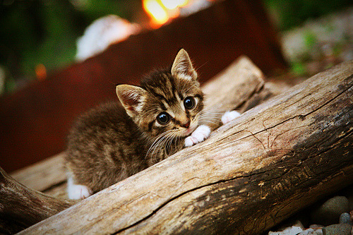 唯一真核！欧冠淘汰赛之夜，格纳布里数据全面爆炸，他才是接管比赛的人