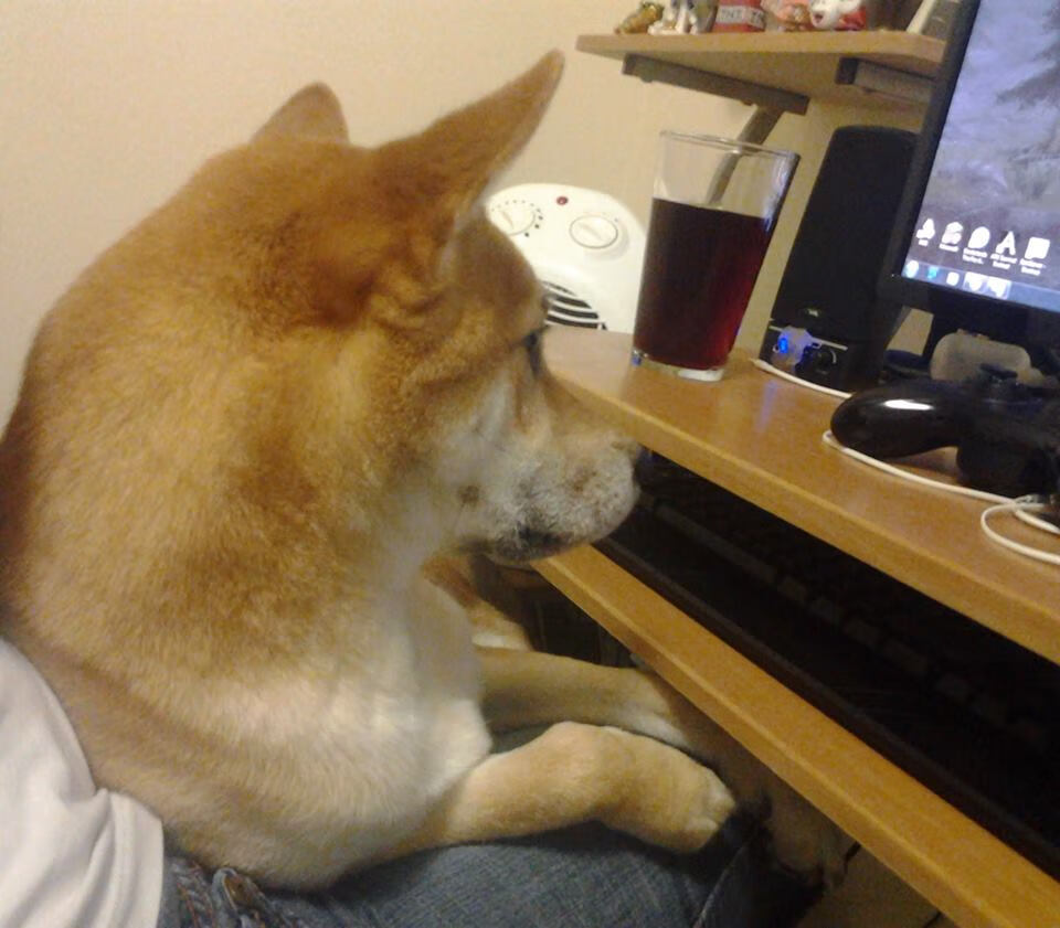 一箭穿心！拉梅洛绝杀弑旧主，公牛打穿国王迎蜕变