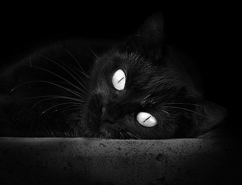 跨洋体育风暴，尼日利亚提前终结希腊悬念，库尔图瓦季后赛抢七接管比赛显神威