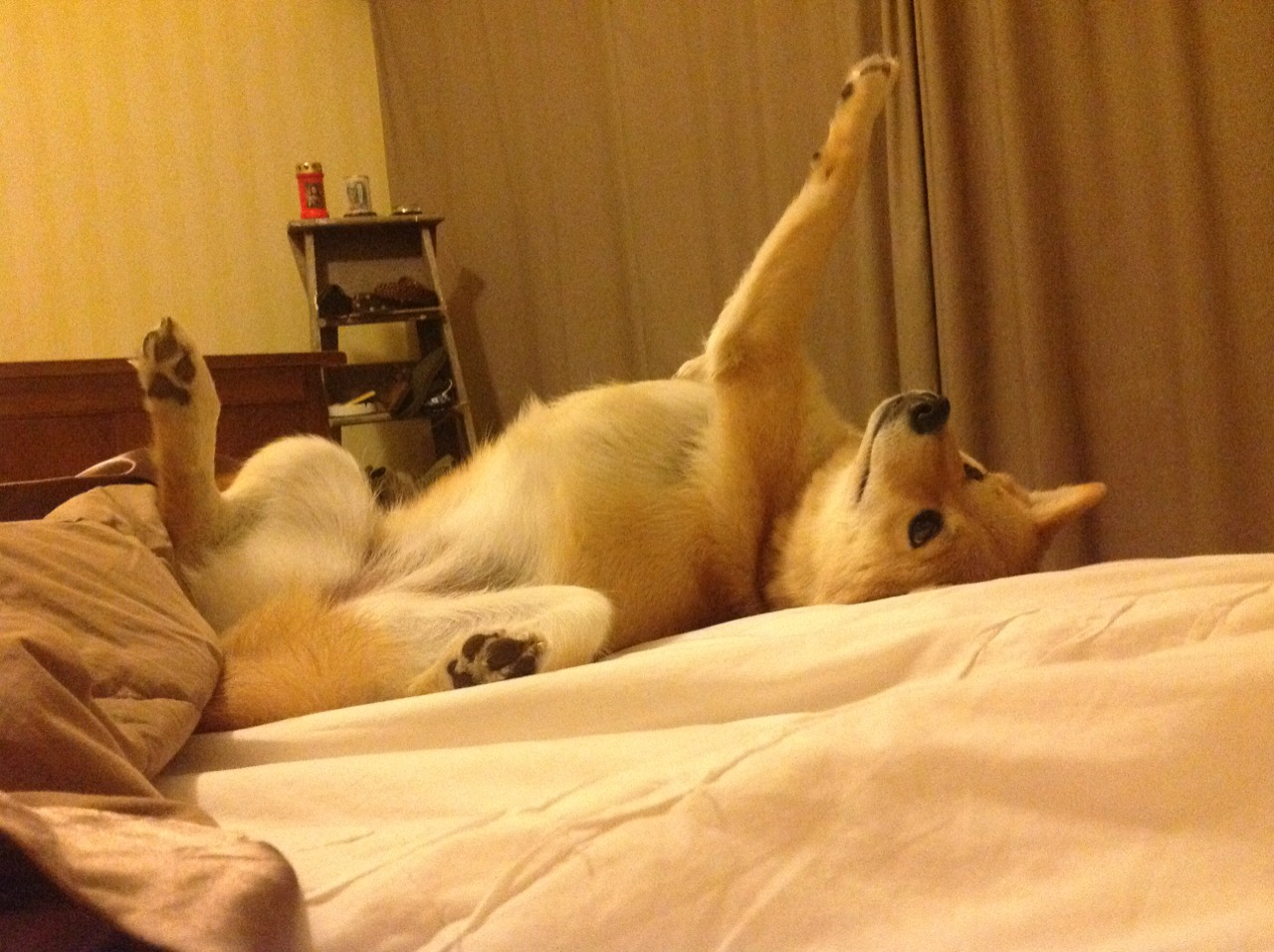 魔都传说,上海队逆转马刺,哈登如何成为跨越维度的关键先生