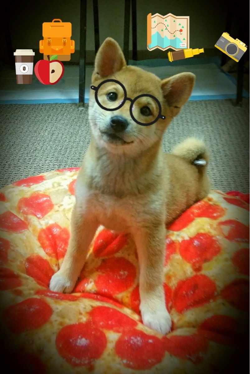 中场枢纽与战术熔炉，巴雷拉的掌控力与勒沃库森的跨洲鏖战