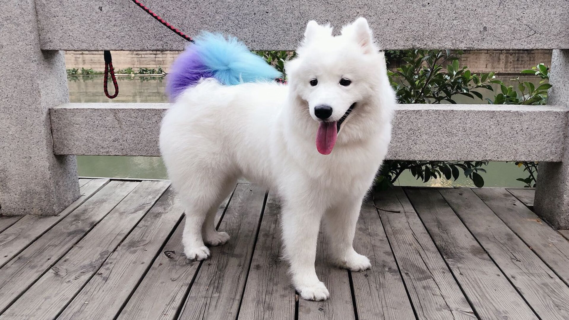 唯一性交响曲,米切尔封神夜与活塞防守艺术如何共铸历史