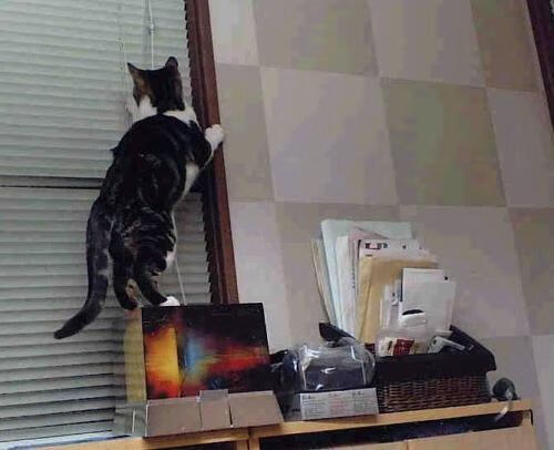 玻利维亚对阵莱比锡红牛，布鲁诺的传说在海拔3600米点燃