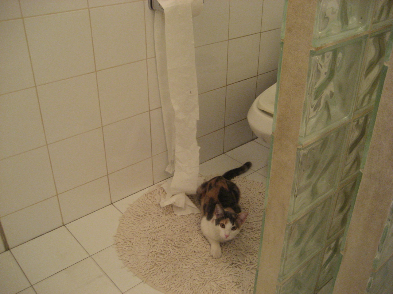 当篮球化为绿茵诗篇,范弗利特在欧冠之夜的关键节点连续得分艺术