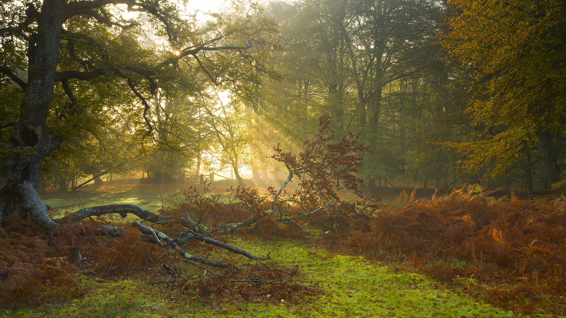 绞索与齿轮，迈阿密如何用一场史诗级的封锁，铸就抢七的永恒定义