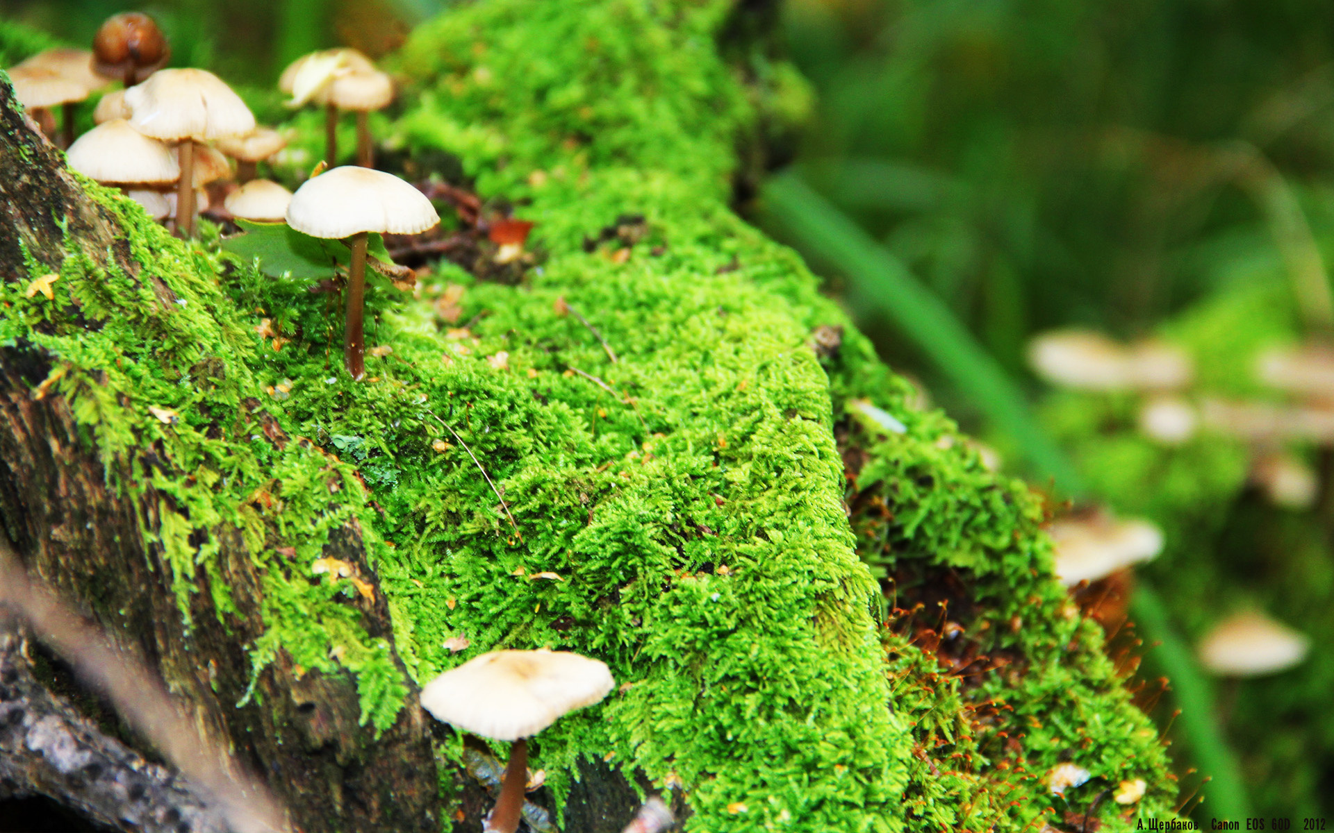 跨越八千公里的逆转，当卡塞米罗的终场绝杀响彻东京夜空