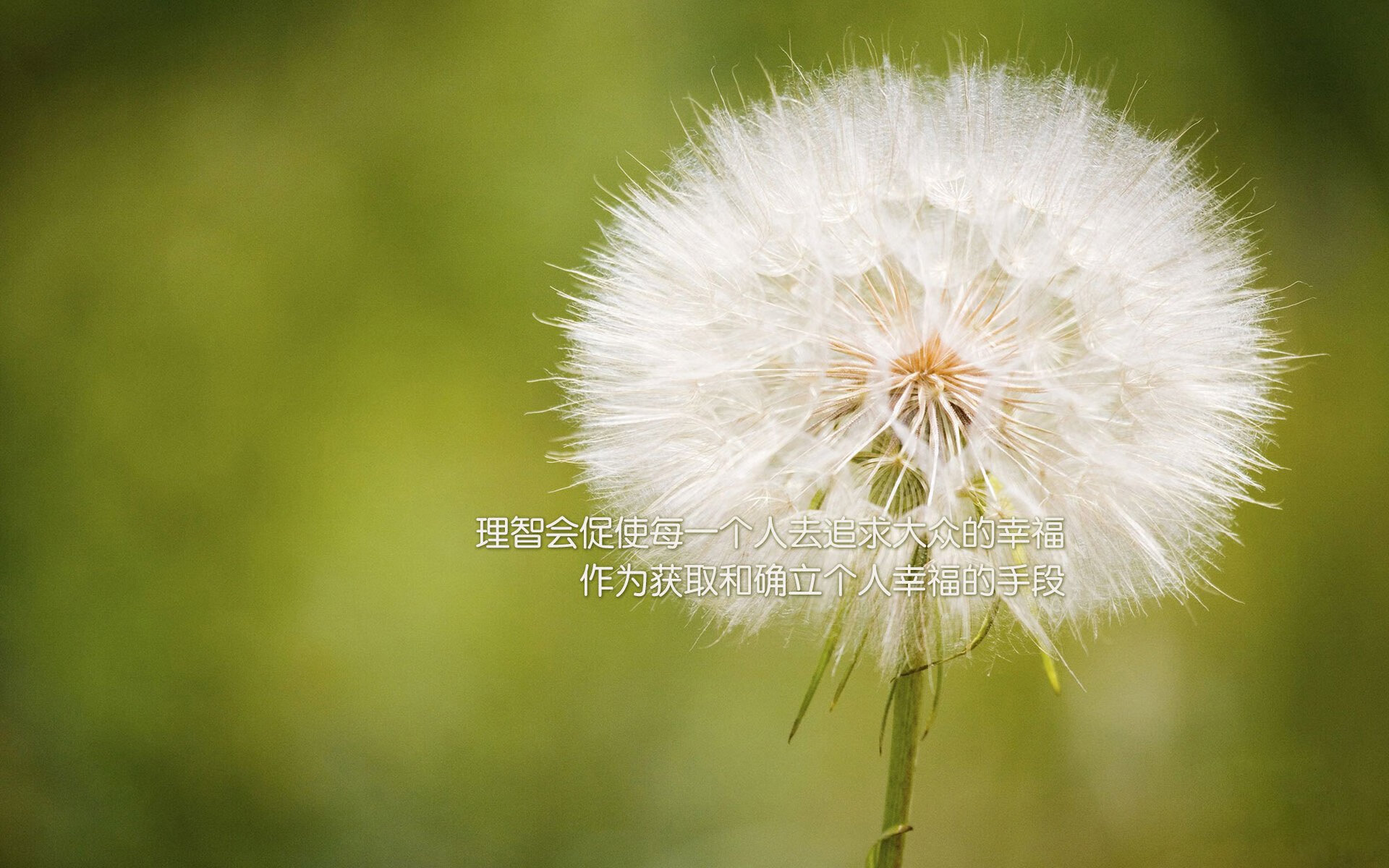 唯一的胜利,喀麦隆补时绝杀秘鲁,萨卡成为历史书写者