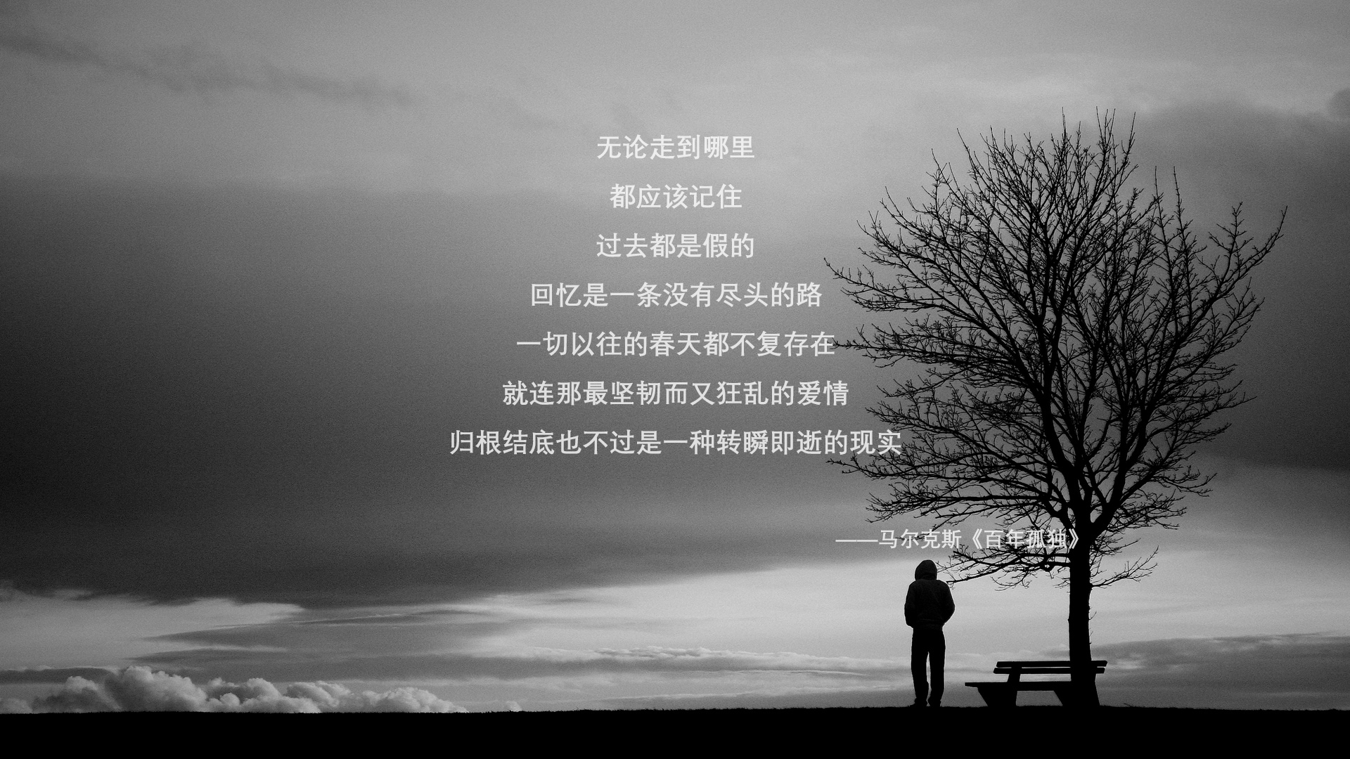 冰与火的征服，2026世界杯决赛，智利如何用铜墙铁壁压垮荷兰，布罗佐维奇的老将悲歌与终极救赎