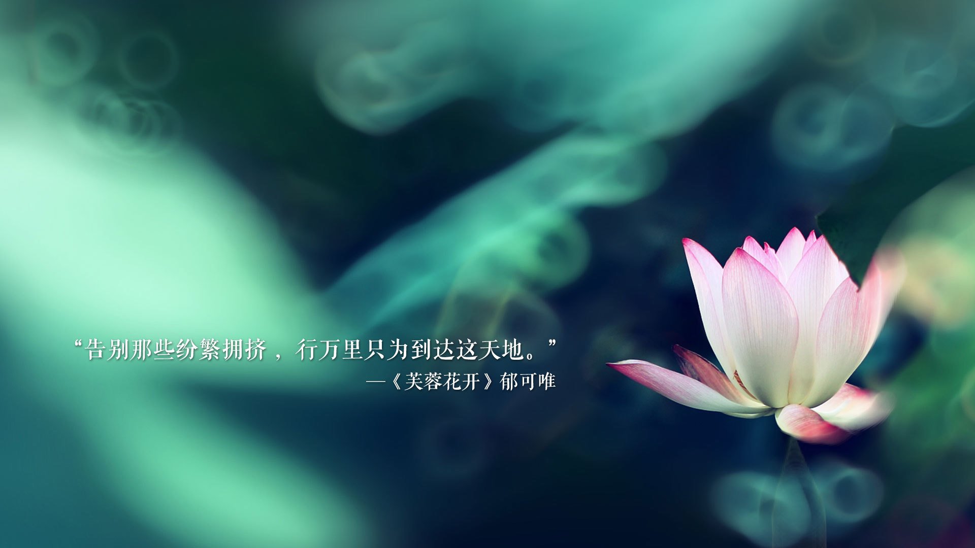 唯一的神迹,2026年世界杯决赛,葡萄牙如何在绝境中完成史诗逆转,福登用天才与韧性书写永恒