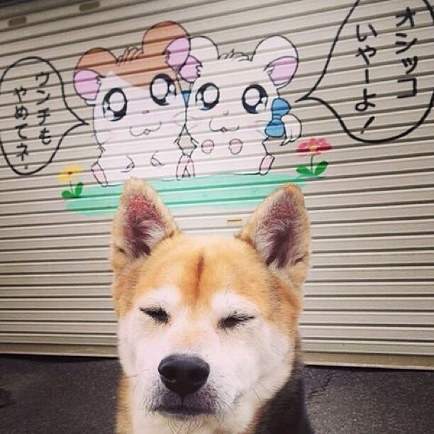 首先,是文章的标题