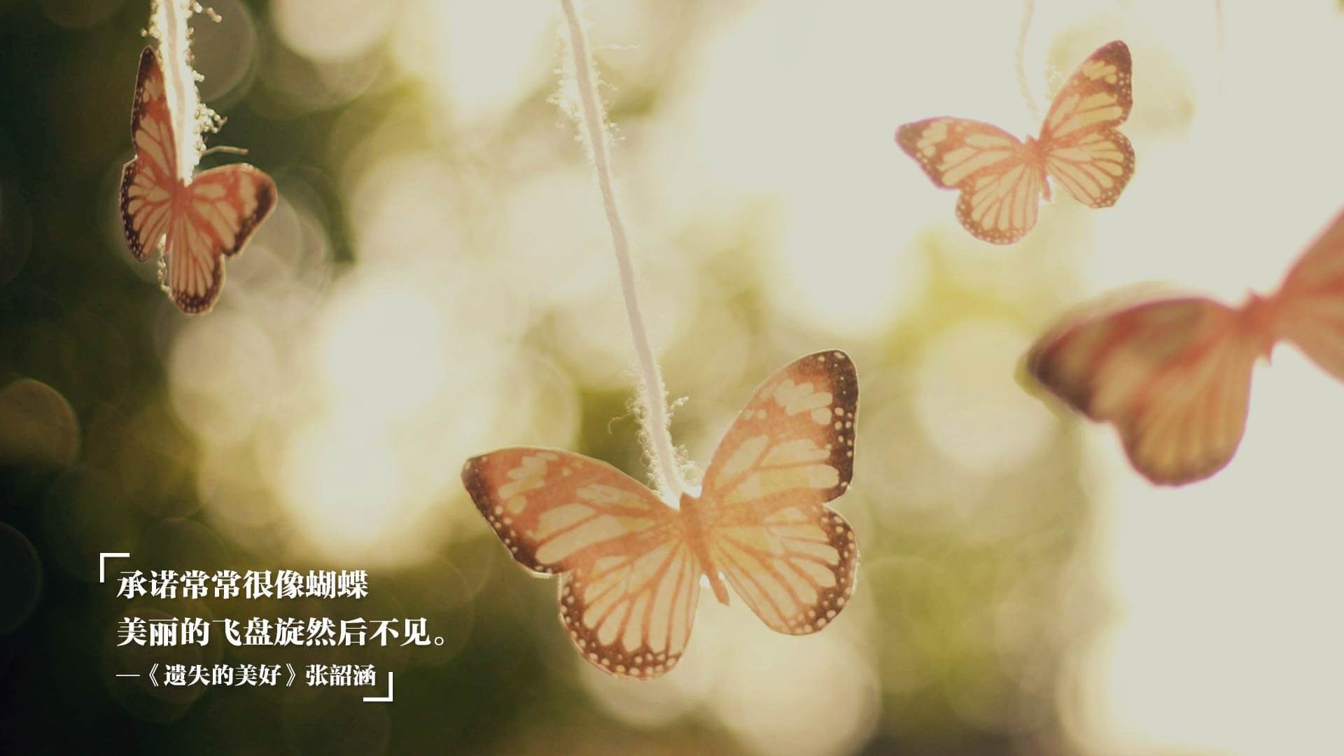 以下是为您构思的标题和撰写的文章